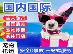 宝安机场货运国际宠物托运 【国